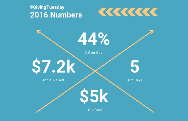 #GivingTuesday 2016 Results