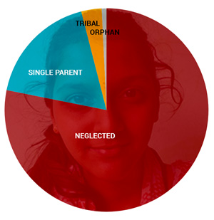 E2S Pie Chart